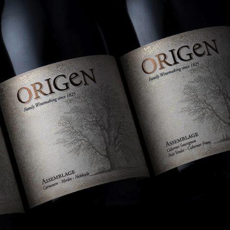 Origen-Assemblage
Origen-Assemblage