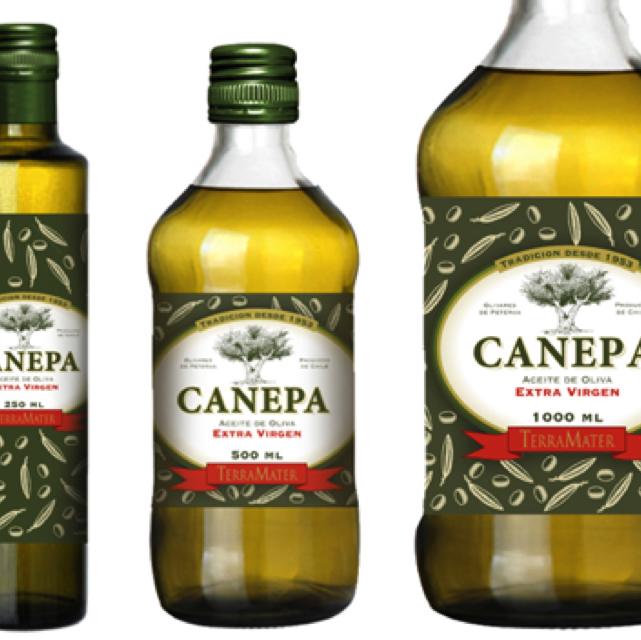 terramater_canepa.jpg terramater_canepa.jpg